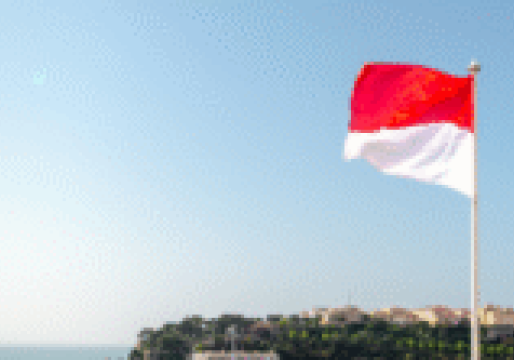 Monaco: Exporting Expertise